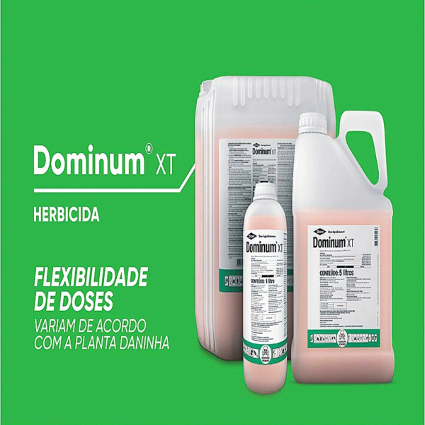 Dominum XT 20 Litros